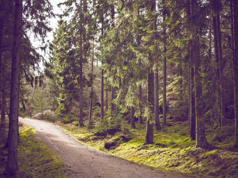 舌尖向导<br>全球美食探店与外卖优惠号